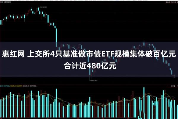惠红网 上交所4只基准做市债ETF规模集体破百亿元 合计近480亿元