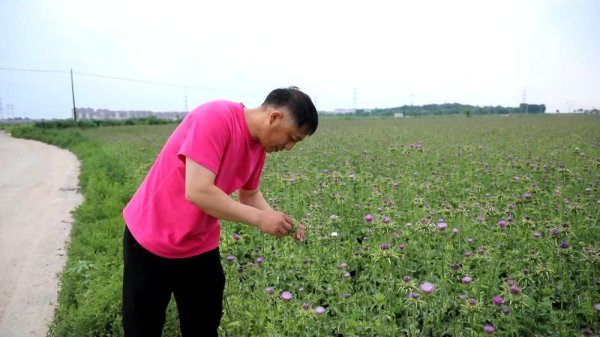 永旺配资端 新华视点｜逐梦沃野 共探富民密码_大皖新闻 | 安徽网